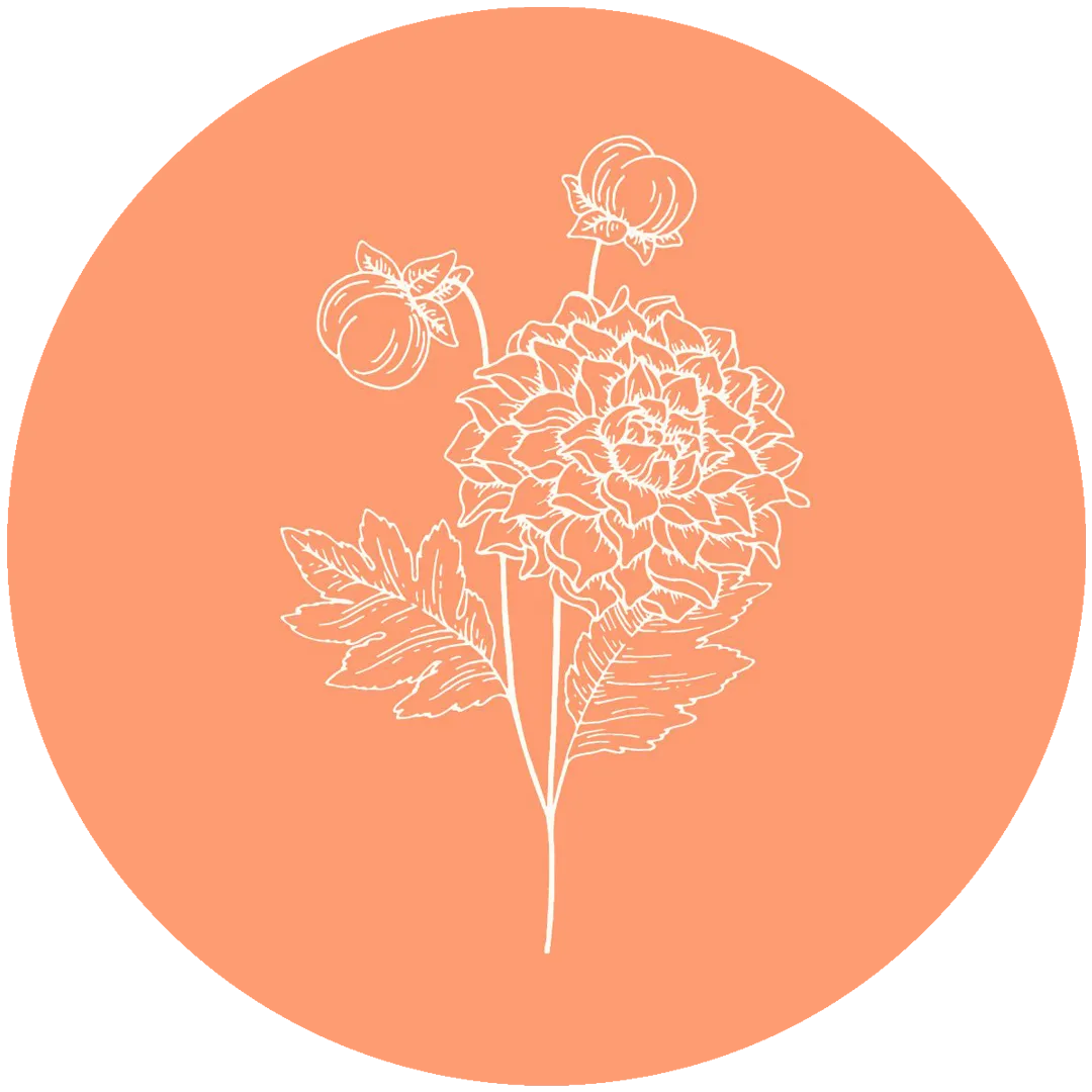 A white line drawing of a flower with large petals, surrounded by smaller flowers and leaves, on a peach background.