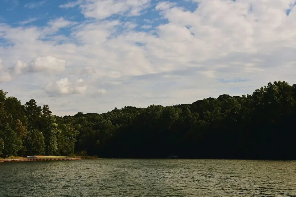 Pros and Cons of Living Near Lake Lanier in Gainesville
