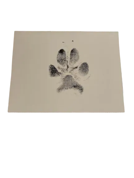 Ink Paw Prints on a Card