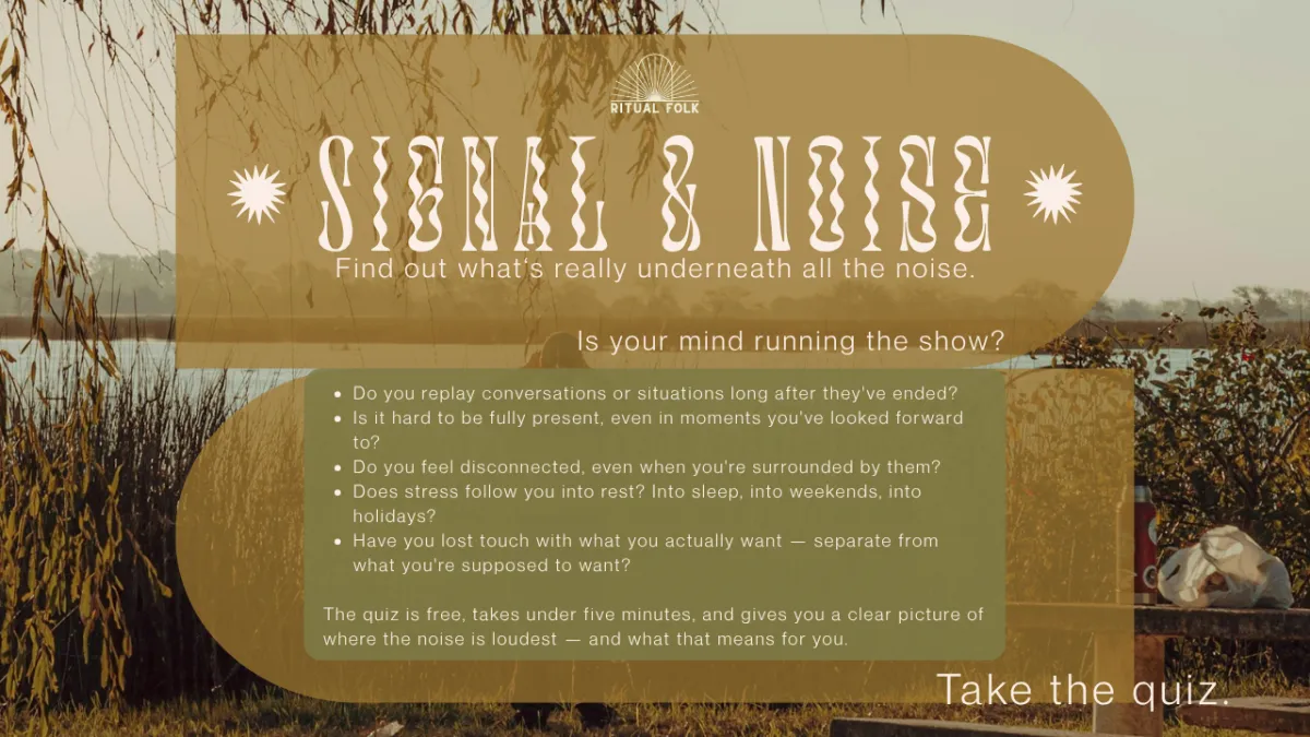 Signal and noise quiz