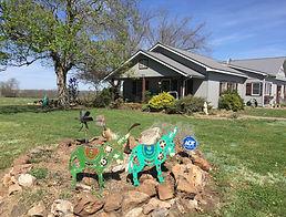 Susan Knost garden