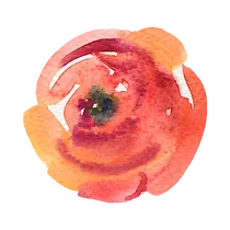 Arrow Icon