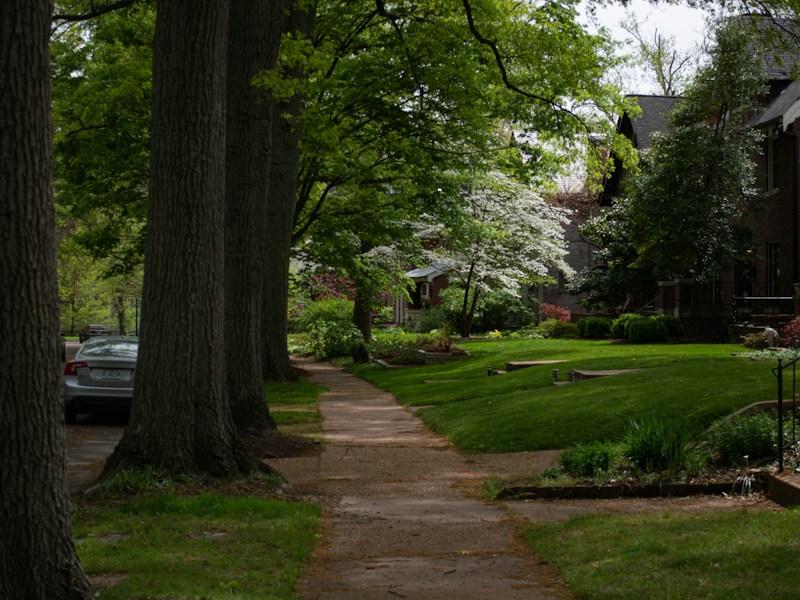 Green grass field with trees in a Reston, Virginia neighborhood