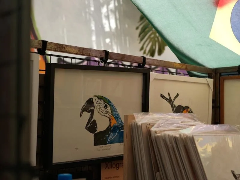 Framed artwork of a parrot and other subjects displayed