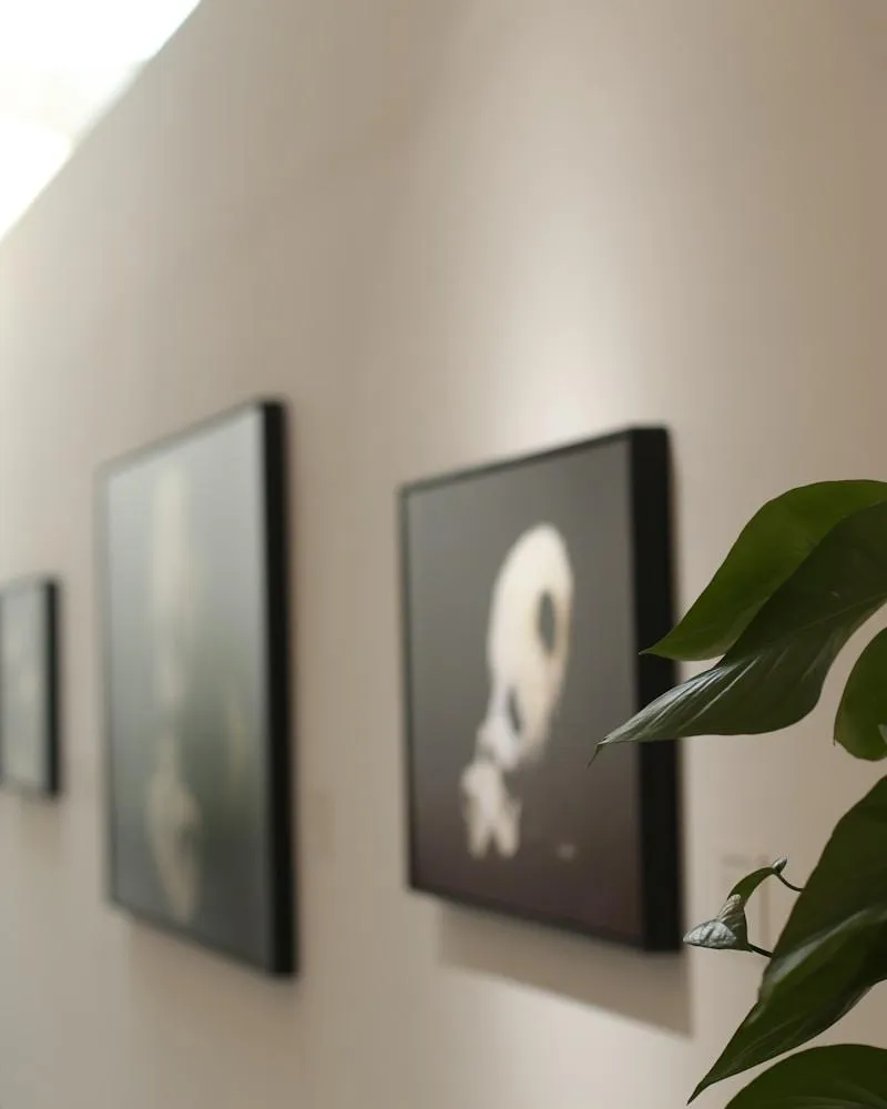 Framed artwork hangs on a white wall near plants