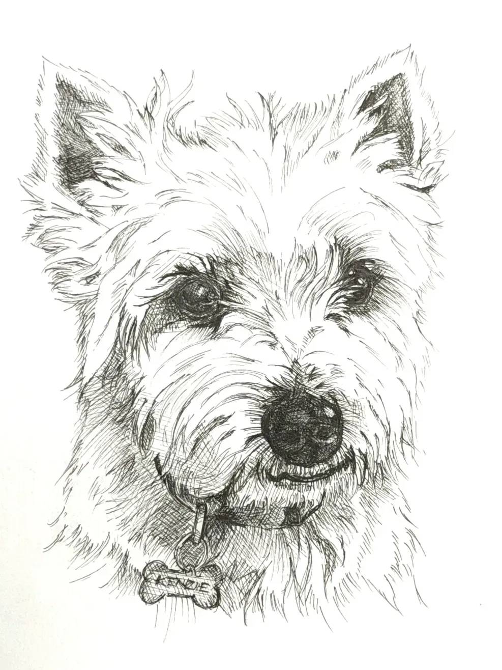 Illustration