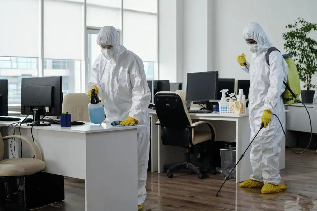Professional sanitization and disinfection service