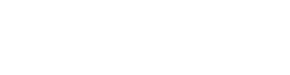 PhoenixPay Business Solutions