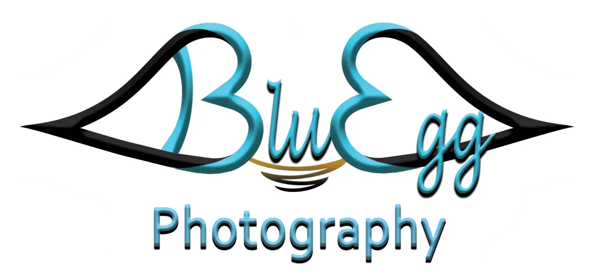 Blue Egg Photography Logo