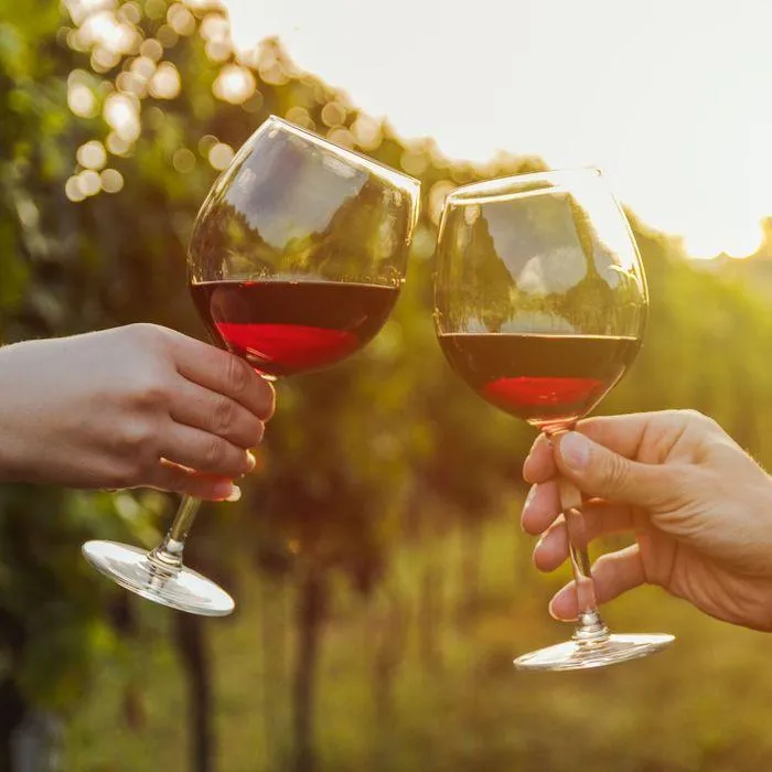 When is the best time for Wine Tours in Temecula