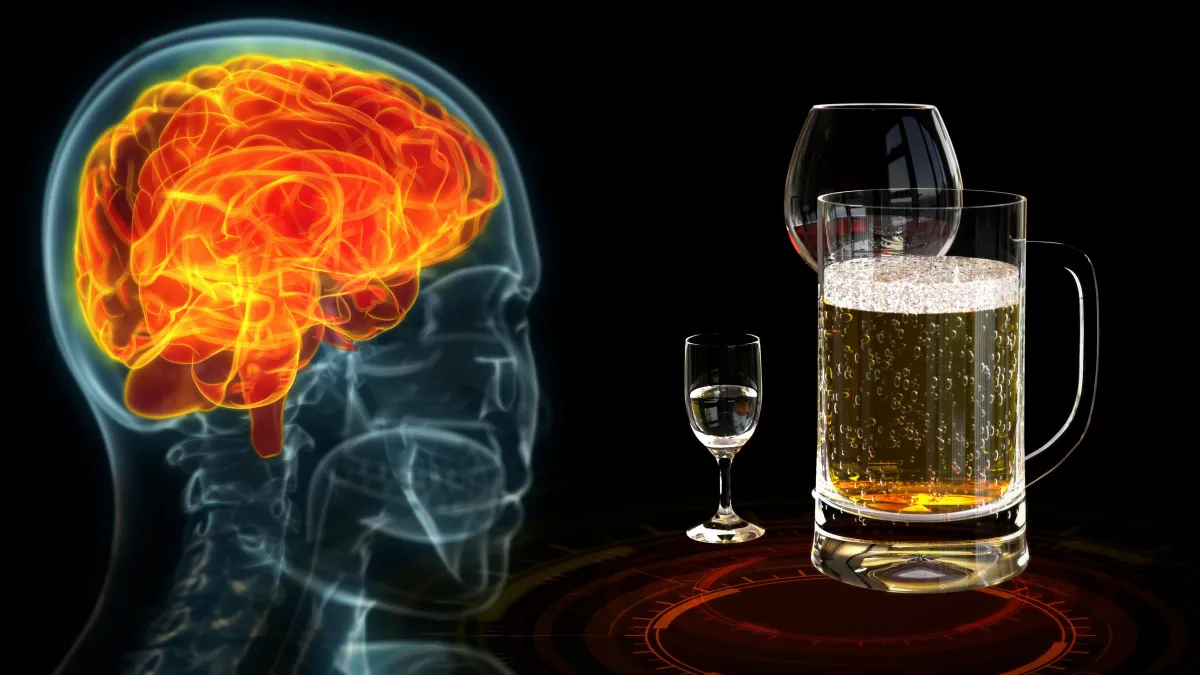 Brain and Alcohol