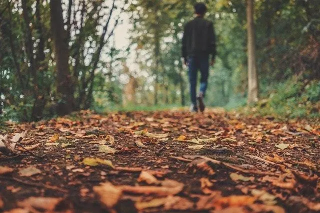 Safety First: Fall Insurance Tips for Peace of Mind