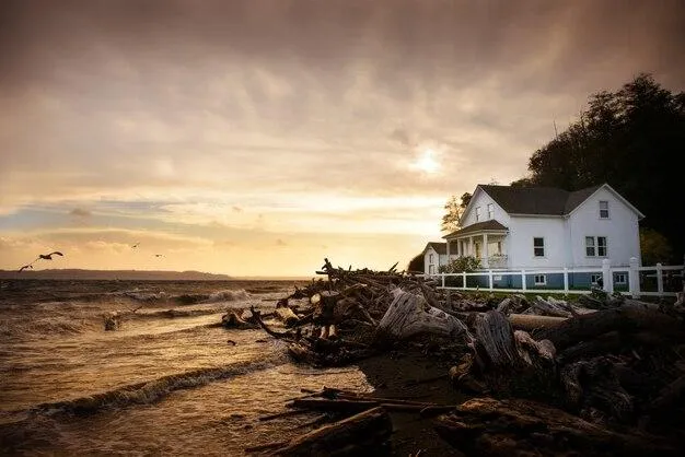 Hurricane Season Prep Tips for Homeowners