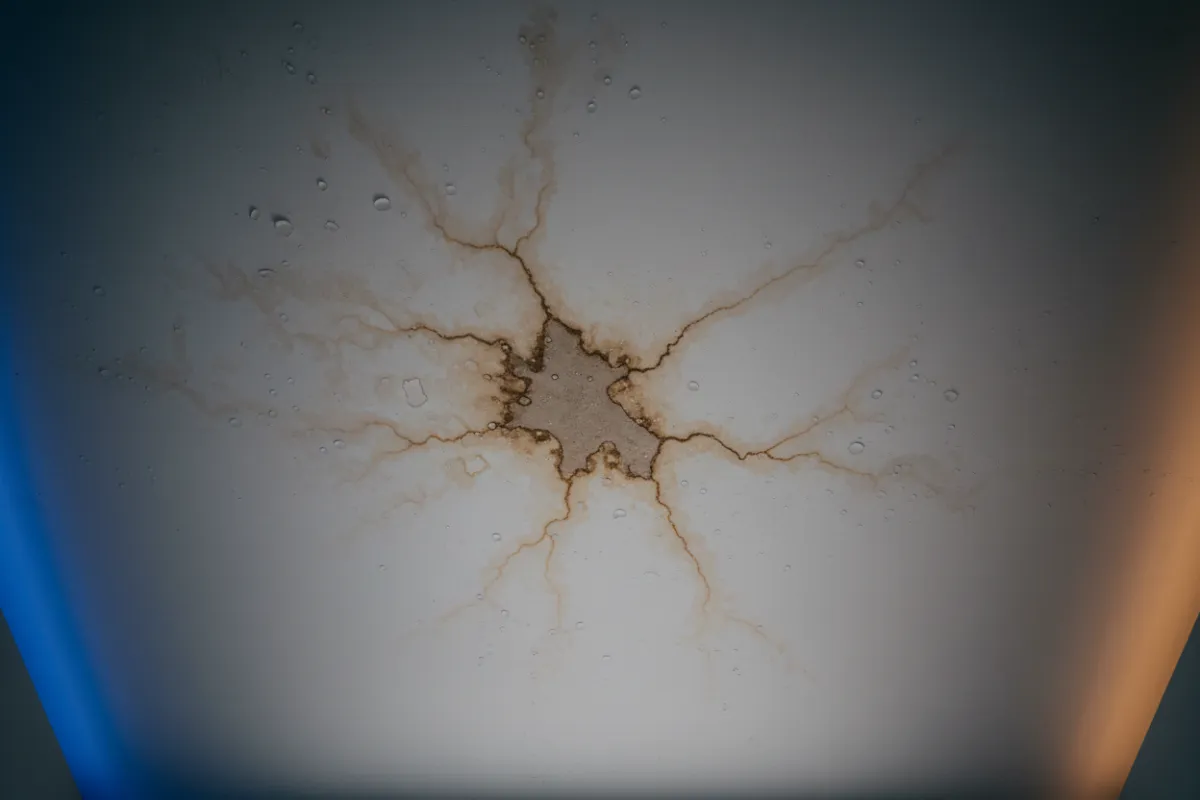Water damage progressing over time