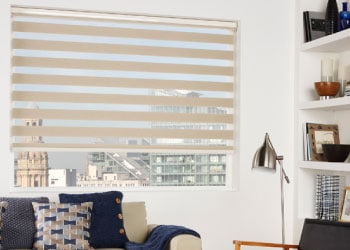 Vision Blinds