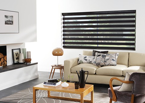 vision blinds