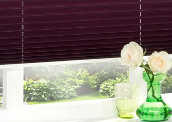 Pleated Blinds