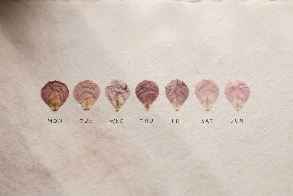 Seven day self trust tracking grid shown in natural morning light