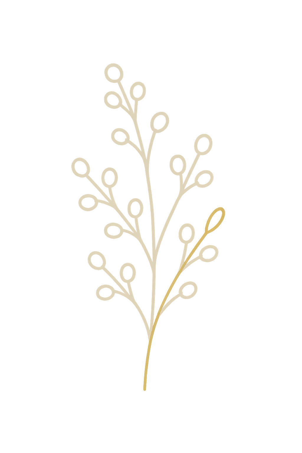 Delicate botanical line-art branch