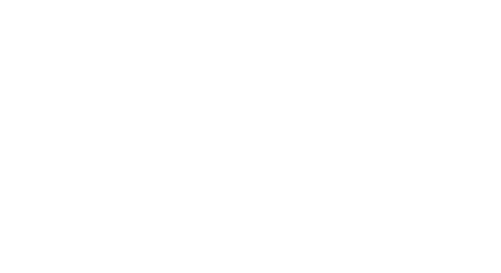 Smart Web Designs Logo