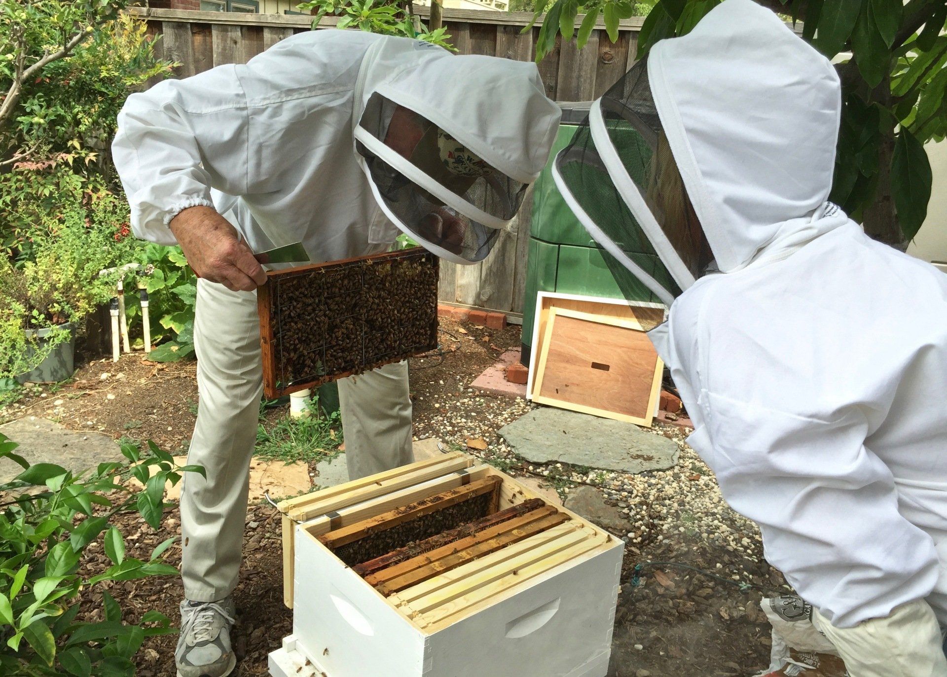 More beekeeping boxes