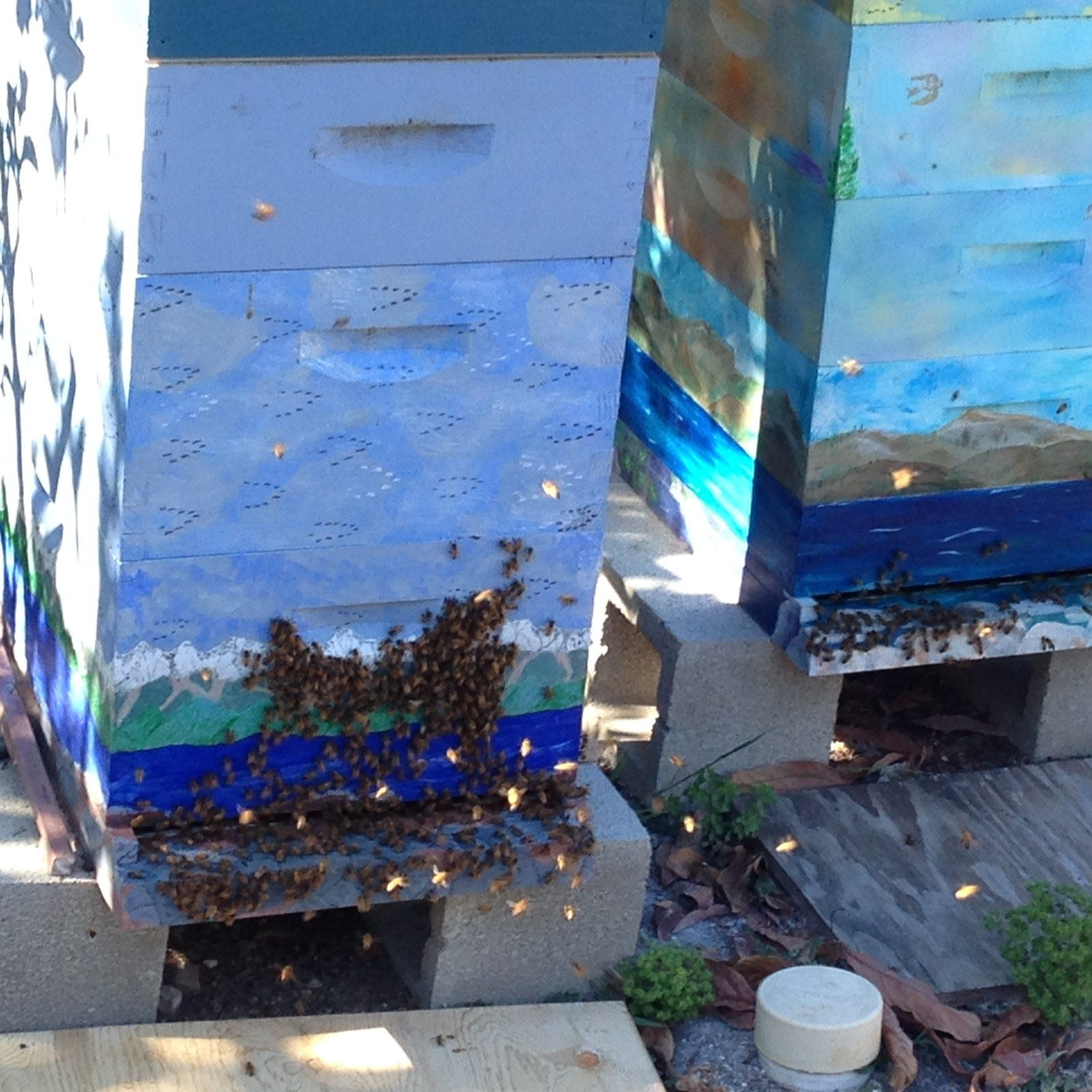 Bee time tools