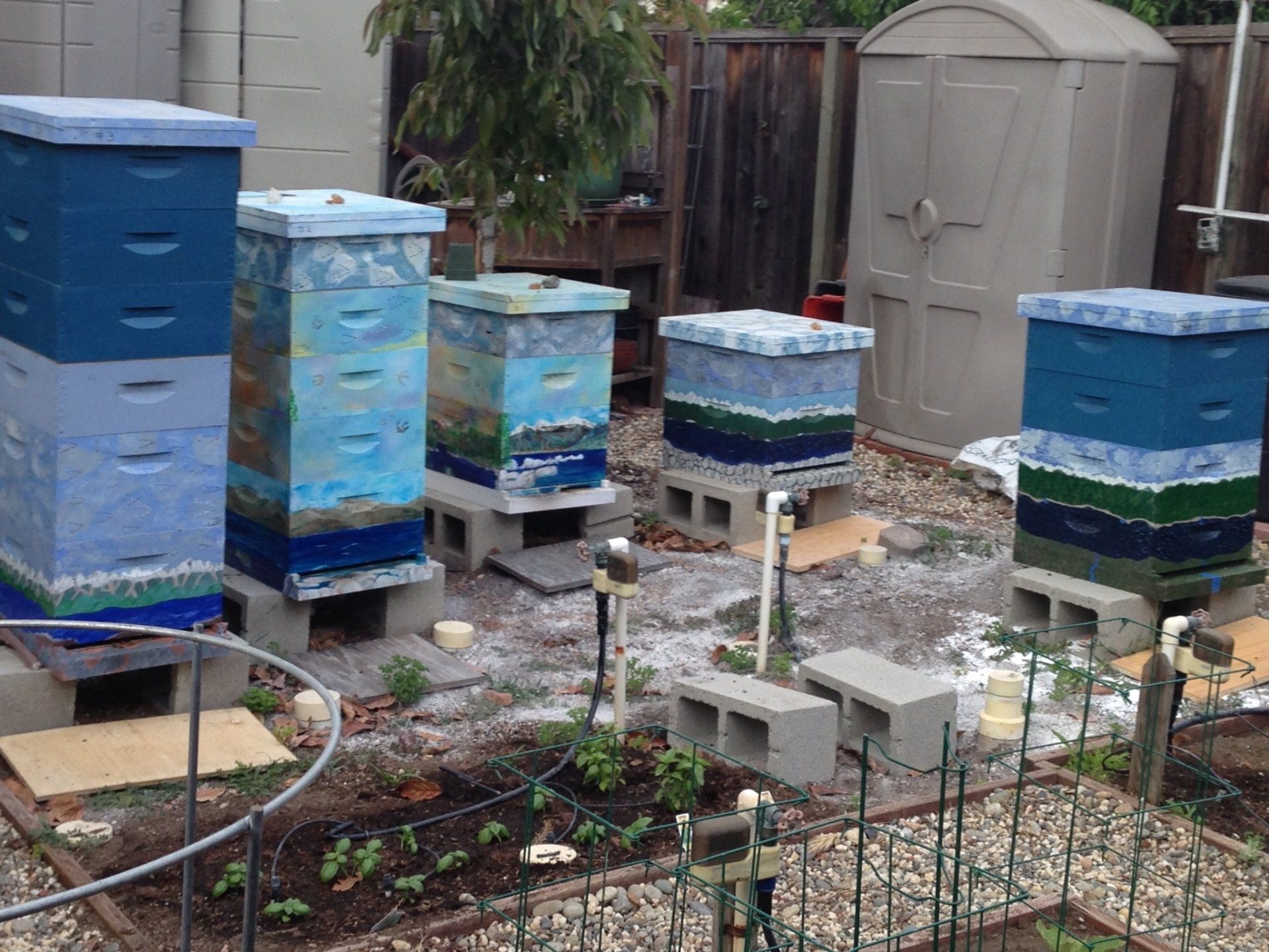 Beekeeping boxes