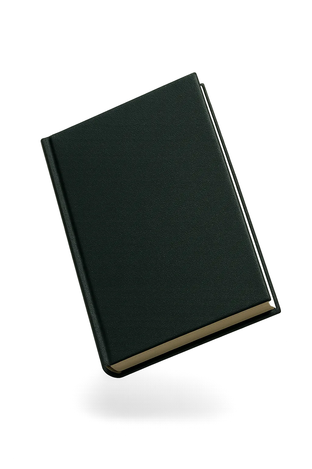 Know the Line - Comprehensive Legal Practice Guide Book Mockup