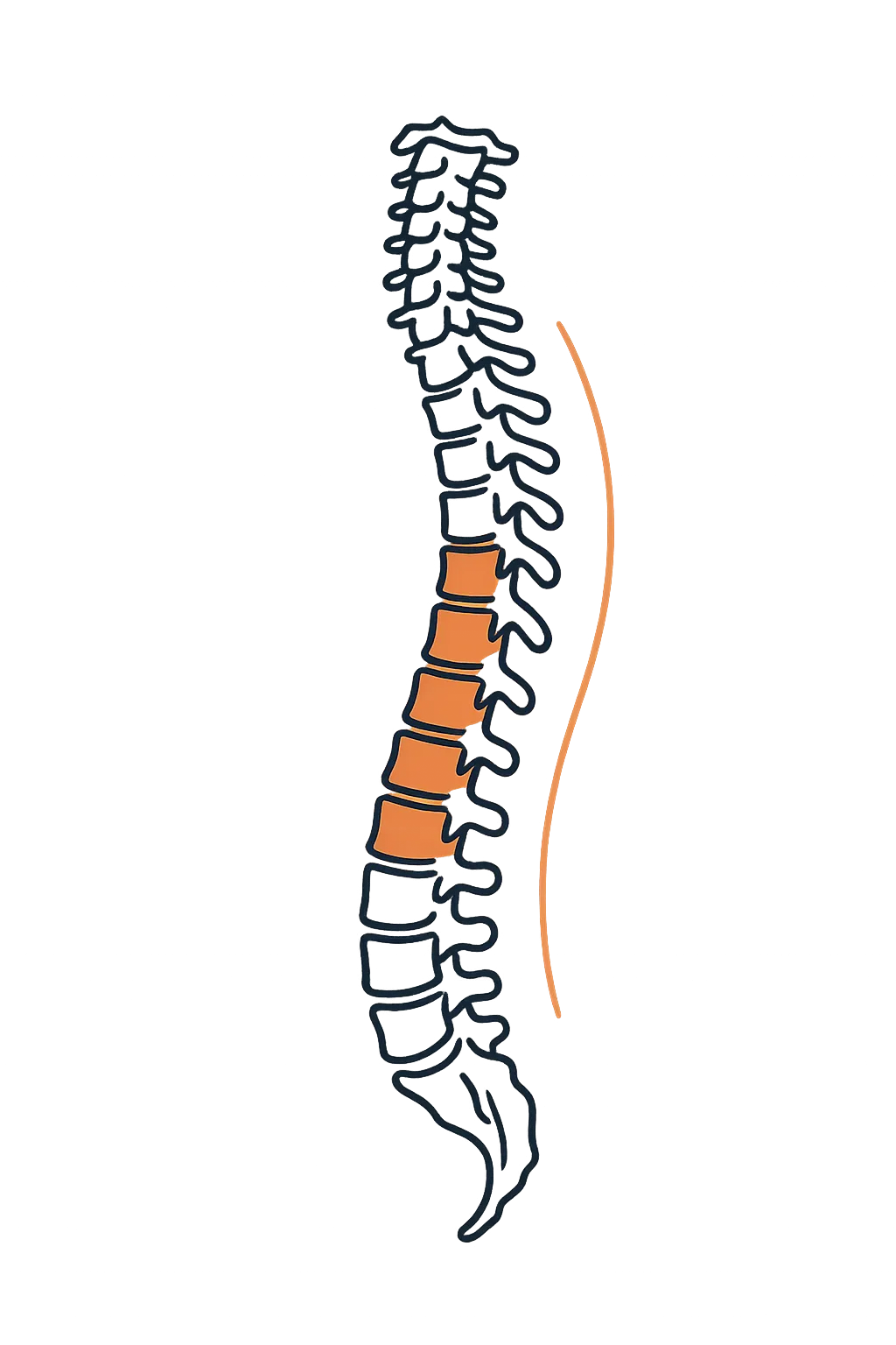 Spinal graphic highlighting auto injury trauma areas