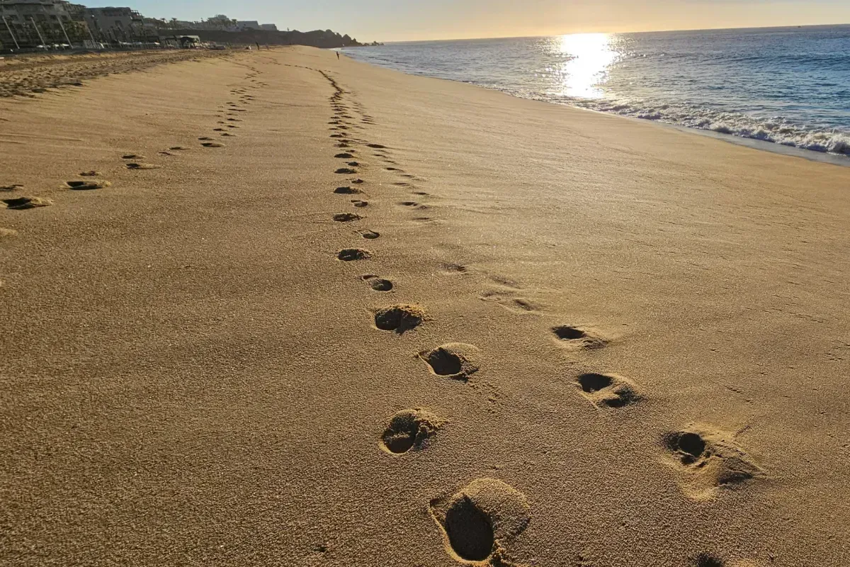 Footsteps of Greatness