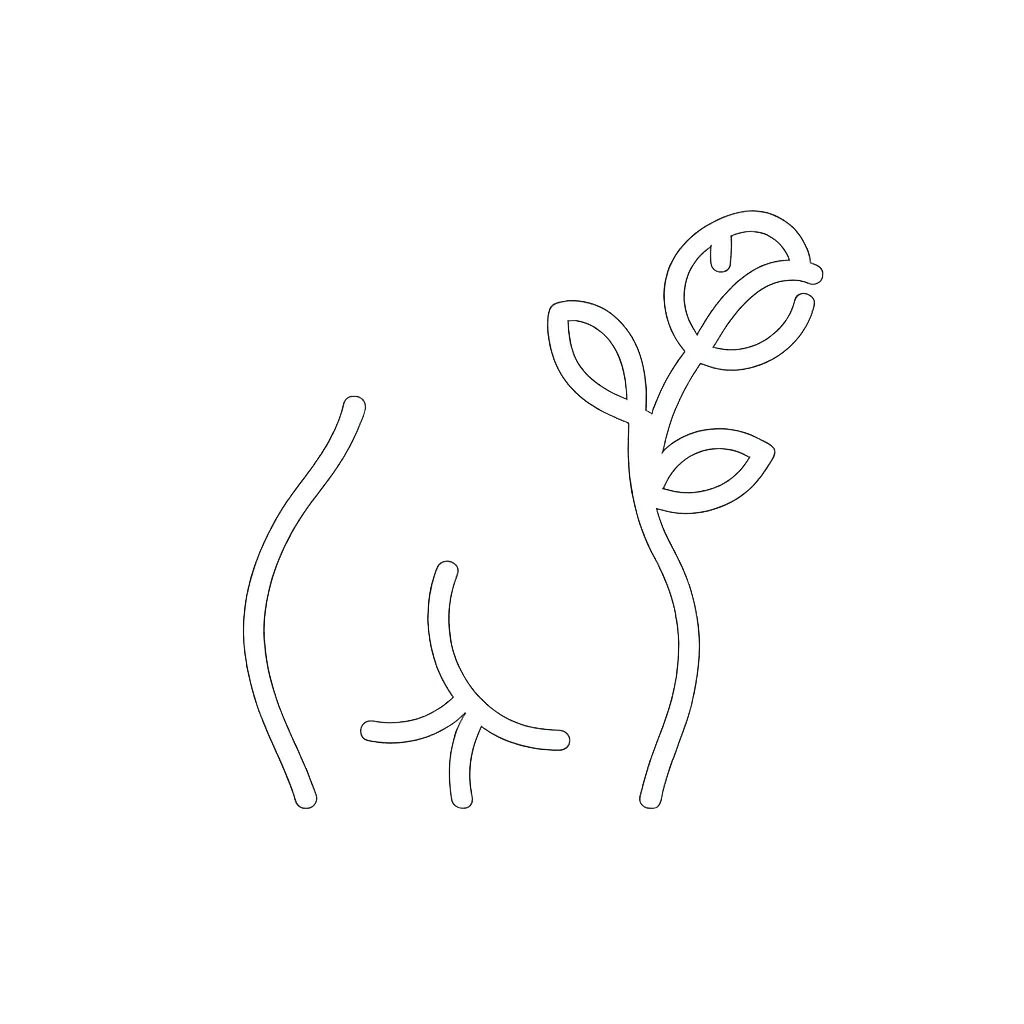 Cheeky Ladies Club Logo