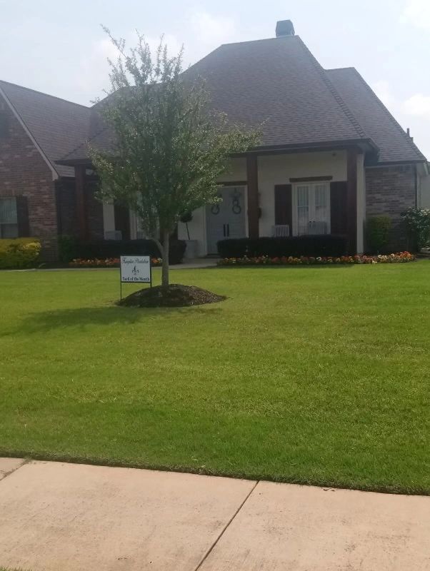 Recent landscaping work featuring green lawn