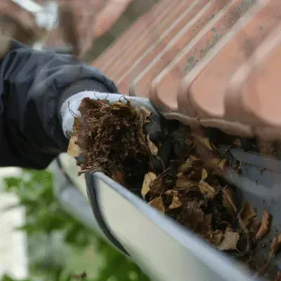 Gutter Cleaning
