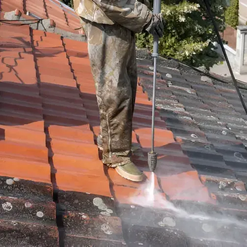 Roof Cleaning