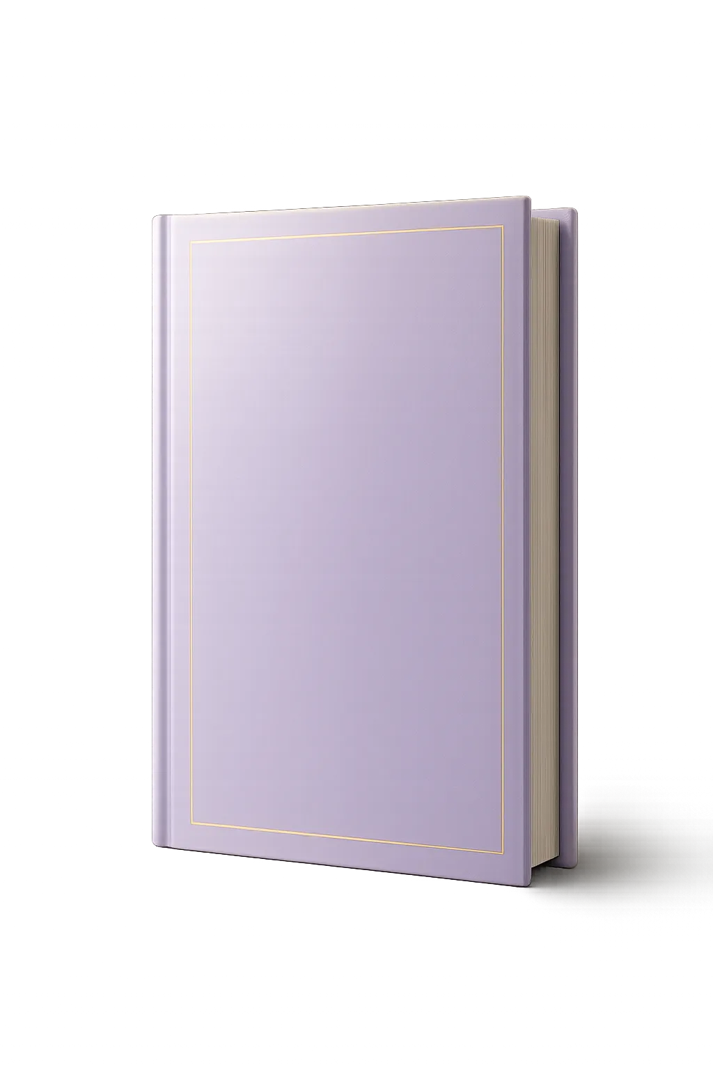 The Boundary Reset ebook