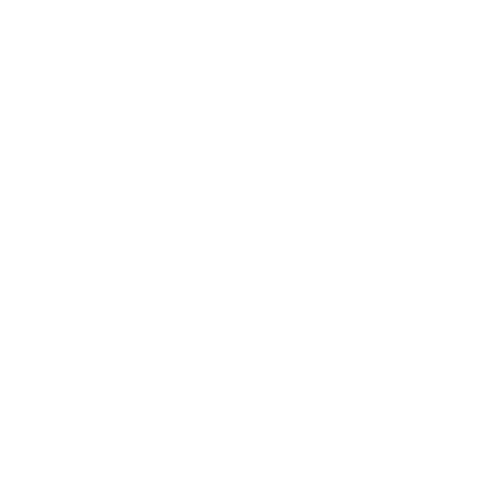 Prime Path Capital Logo