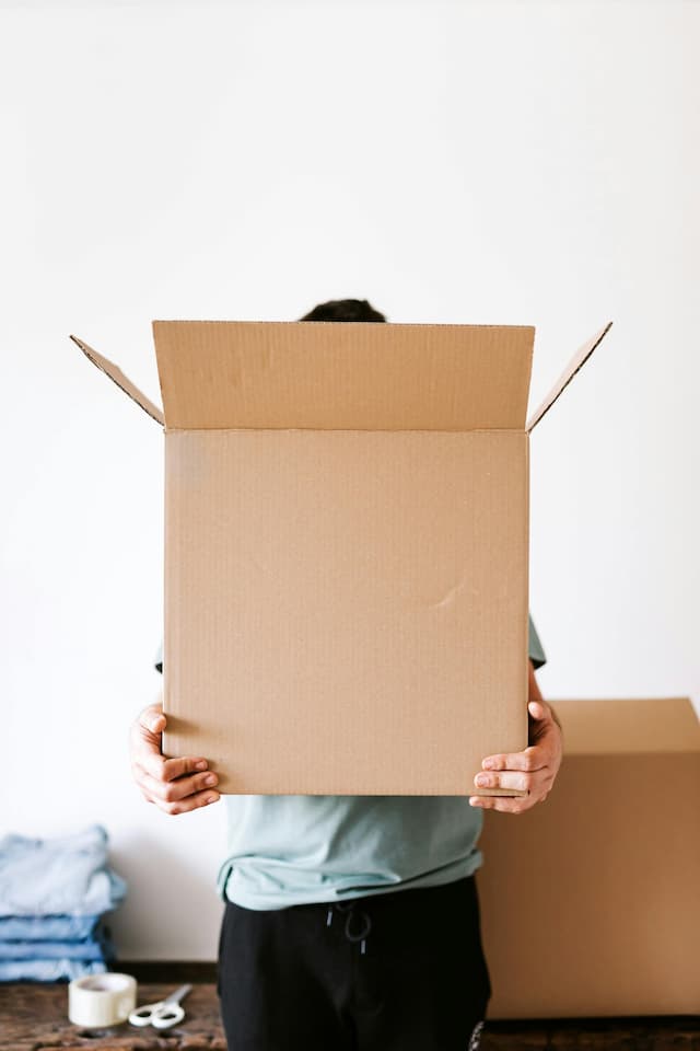 Person carrying moving box