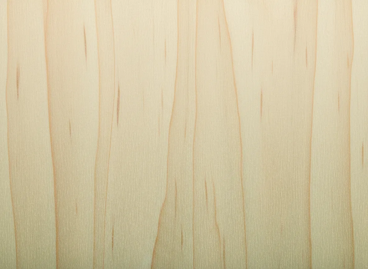 Macro wood grain of Birch
