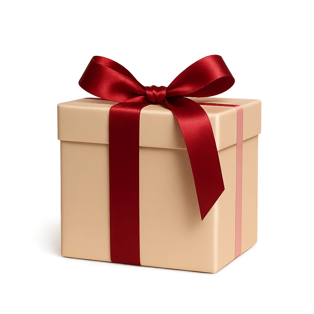 Caja de regalo y accesorio exclusivo de Viceversa Store