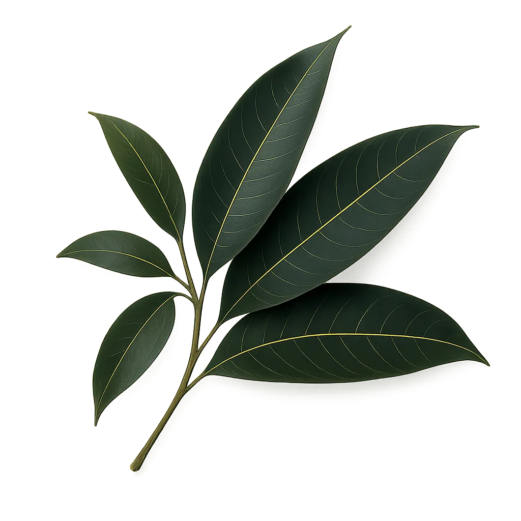Decorative left leaves