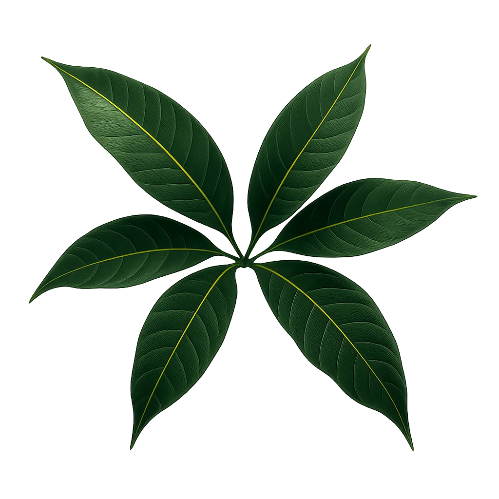 Decorative right leaves
