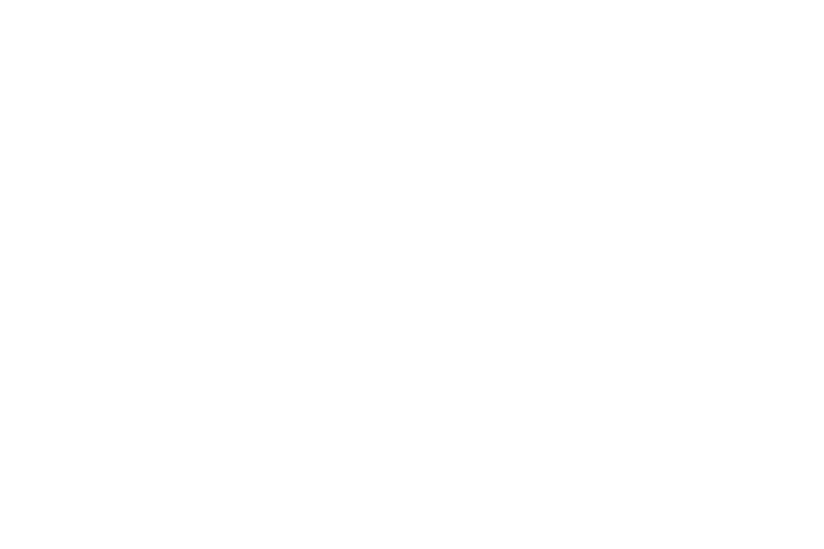 Palmzi Logo