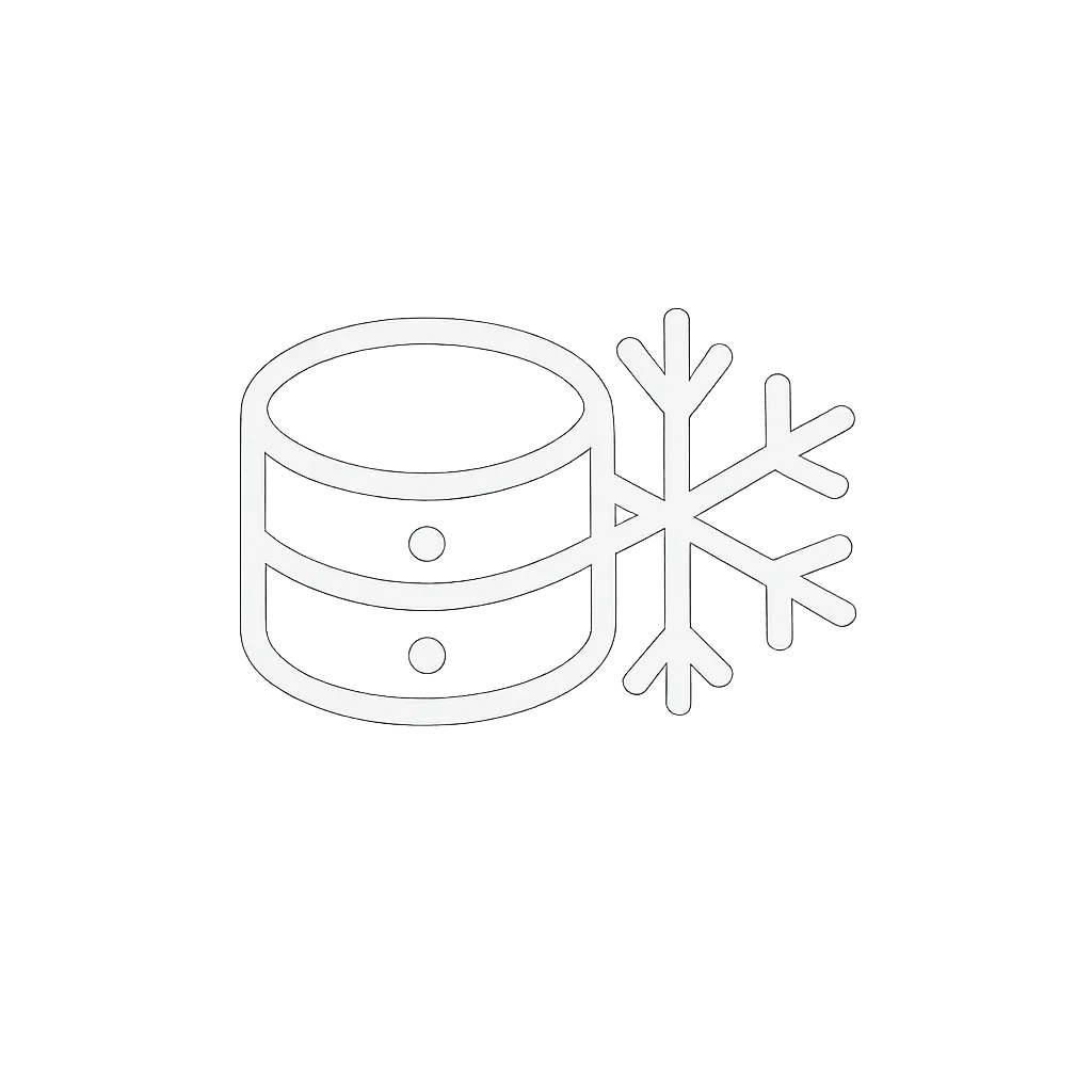 Data Frost Logo