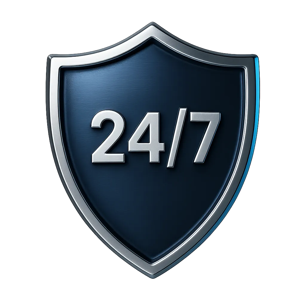 24/7 Professional Monitoring