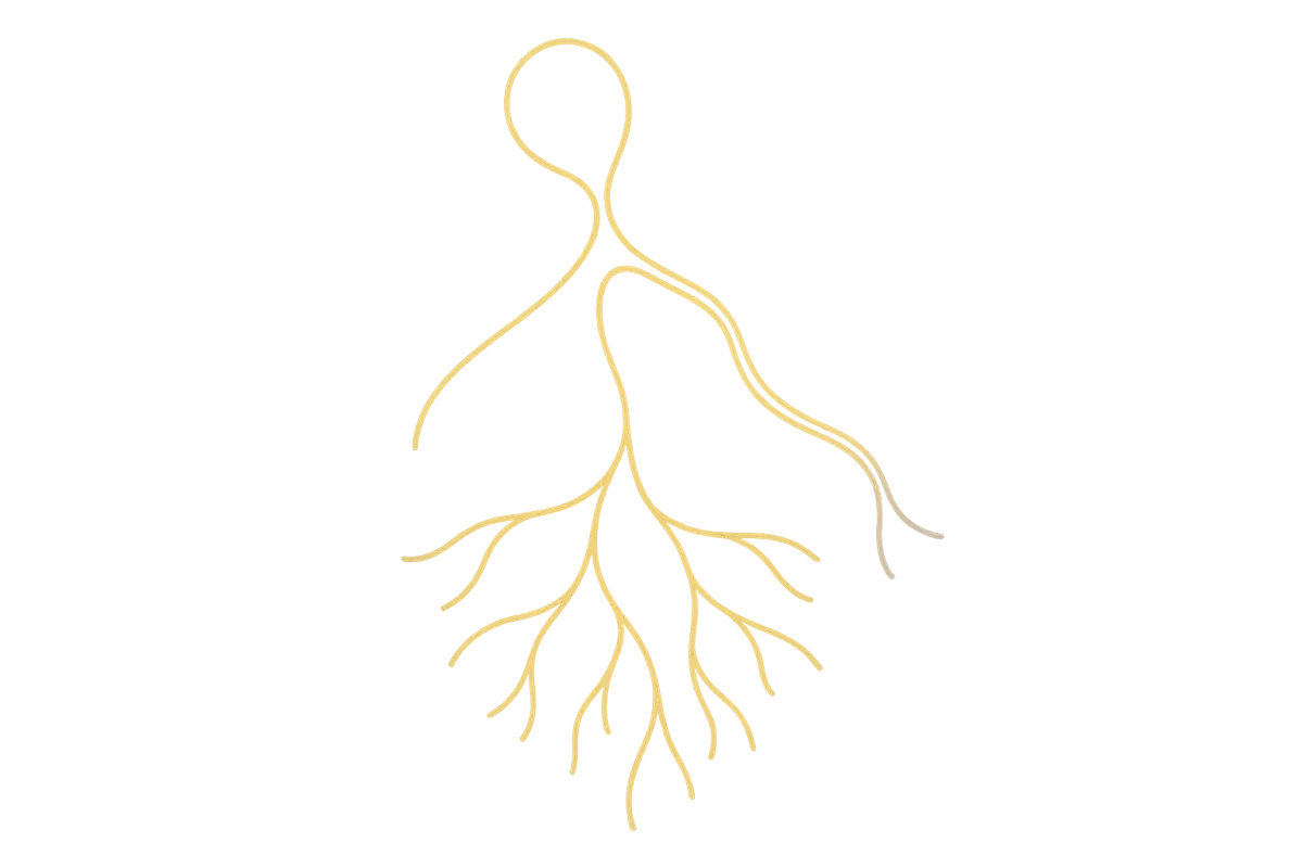 Gold-line abstract diagram representing nervous system shifts