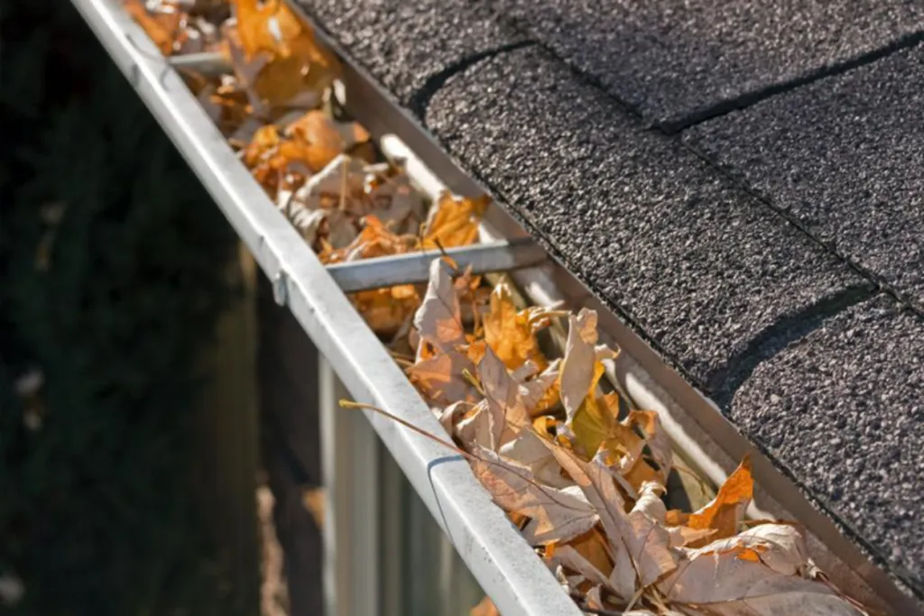Gutter Cleaning Cost in Florida: A 2025 Guide