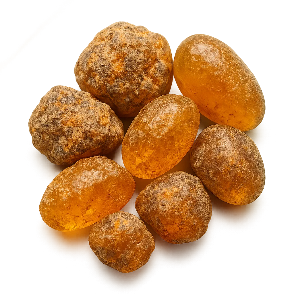 Macro botanical specimen of Wild Harvested Copal