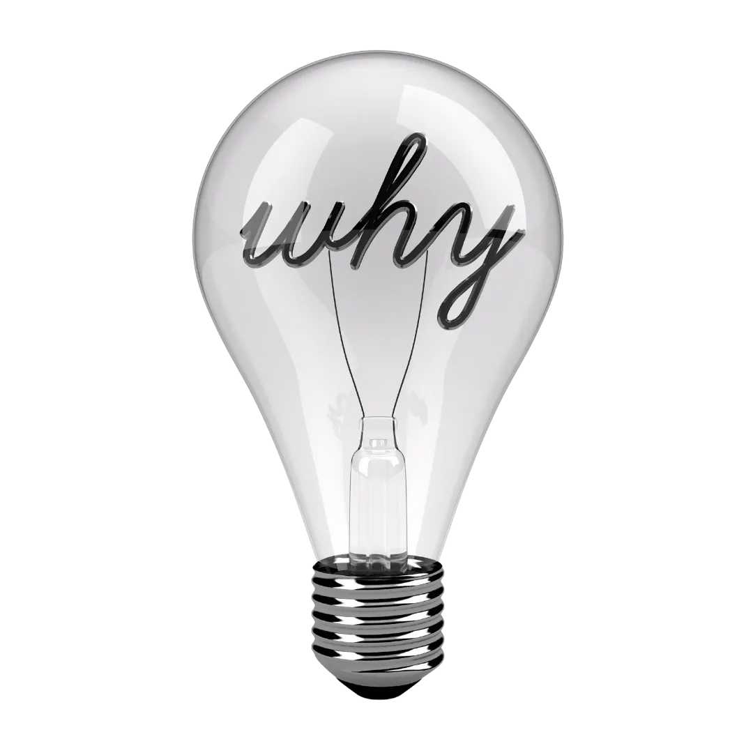 Lightbulb with why text