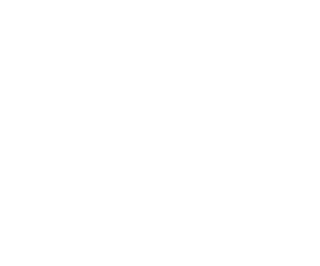 CRM Icon