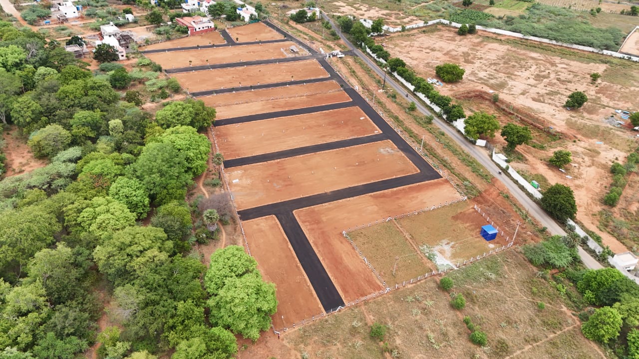 Completed Site Layout 5